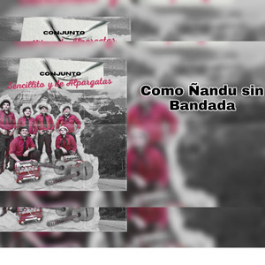 Como Ñandu Sin Bandada