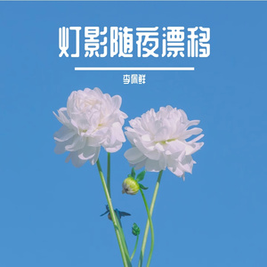夜色缓慢呼吸