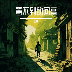 等不到的回音