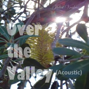Over The Valley (Acoustic) (Acoustic)