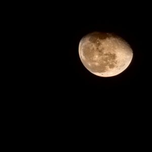 三生三世十里桃花