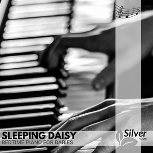 Affectionate (Love Piano in E Minor)