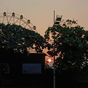 带我去找夜生活