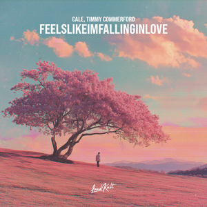 feelslikeimfallinginlove
