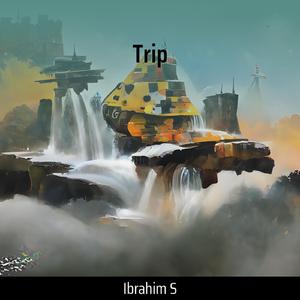 Trip