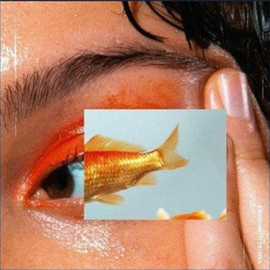 Numaracı Hızlandırılmış