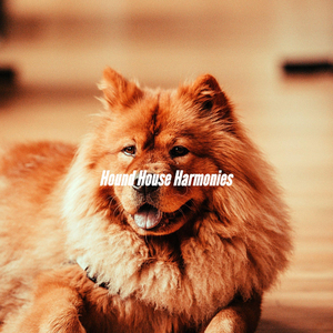 Quiet Ambience for Friendly Doggy Days