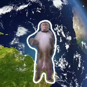 把你的心剖开来（夜舞cypher）