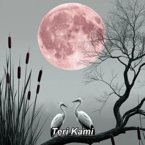 Teri Kami