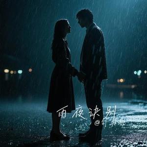 雨夜诀别
