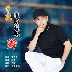 今夜谁陪我喝醉