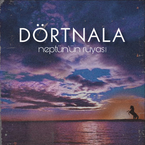 Dörtnala