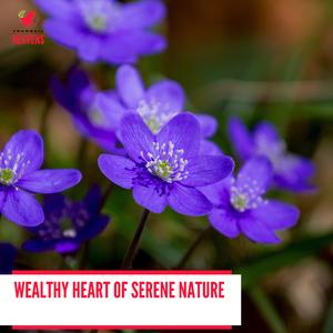 Tropical Trees Creaking