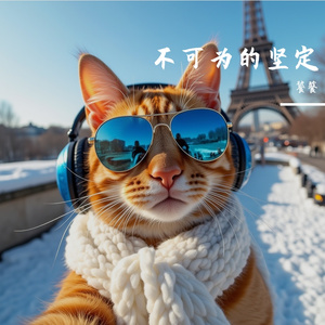 不可为的坚定
