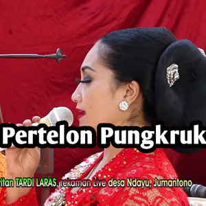 Pertelon Pungkruk