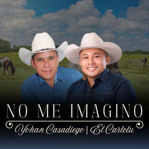 No me Imagino