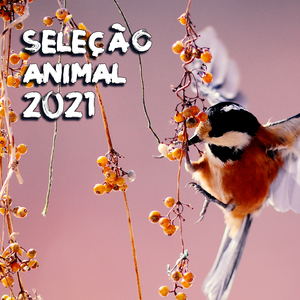 Saggezza (Radio Vrs.)