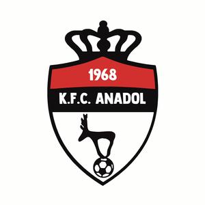 Anadol - Taraftar marşı (feat. Beton)