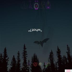 ¿ƃuᴉɥʇou ɹoɟ llɐ ʇᴉ sɐʍ