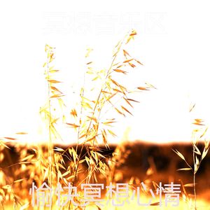 一尘不染温泉印象数