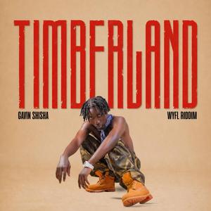 TIMBERLAND (wyfl riddim)