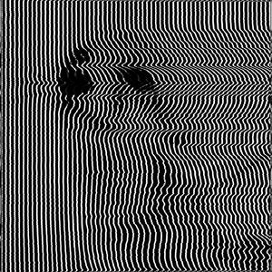 Nonbinary Flâneuses