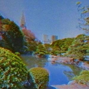 SAMEDII |BEAT|
