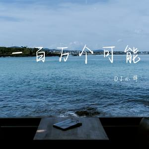 一百万个可能（DJ版）