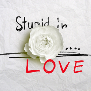 Stupid In Love