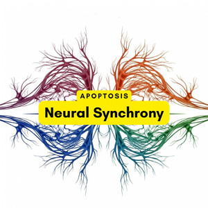 Neural Synchrony