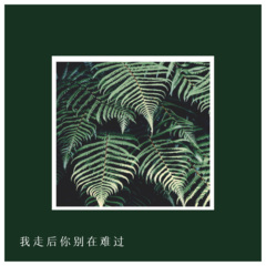 我已经不打算喜欢你了 (DJ版)