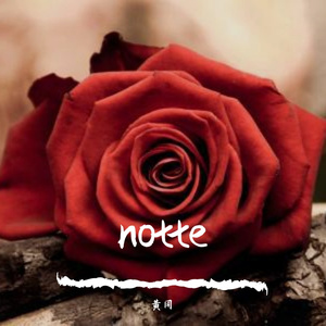 notte
