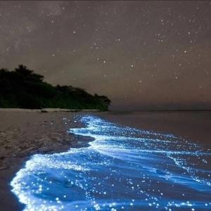 人海（Cover 燕池）