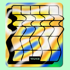 Wafer