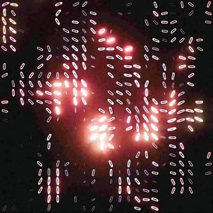 罗塘小调   严海平