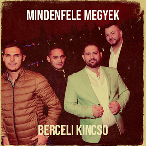 Mindenfele Megyek