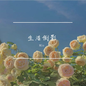 生活倒影