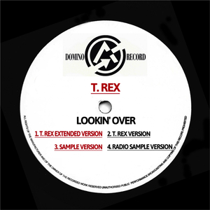 Lookin' Over (Sample)