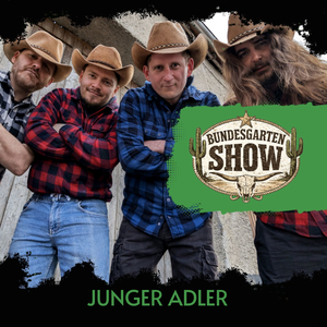 Junger Adler