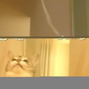 POLIZISTEN KLOPFEN AN