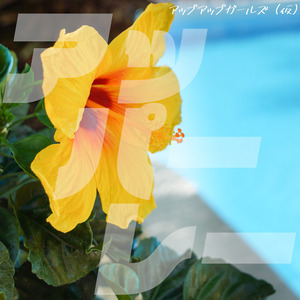 Appare