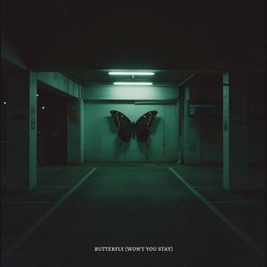 butterfly (won't you stay)
