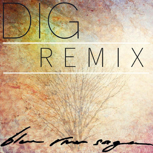 Dig (Remix)
