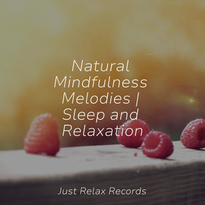 Harmonious Wing Dance