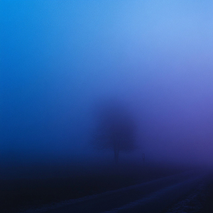 endless memory (sped up)