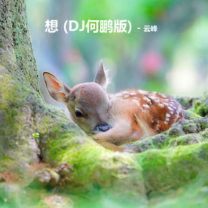 想(DJ版)