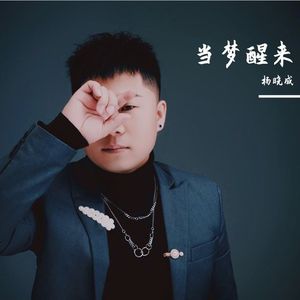 杨晓成 - 当梦醒来