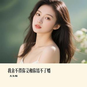 我舍不得你又和你结不了婚 (Remix)