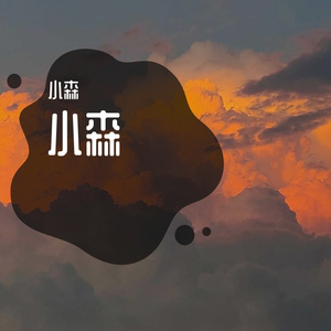 晚夜微雨问海棠