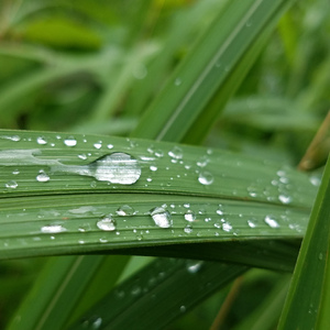 一首比较安静的曲子O(∩_∩)O